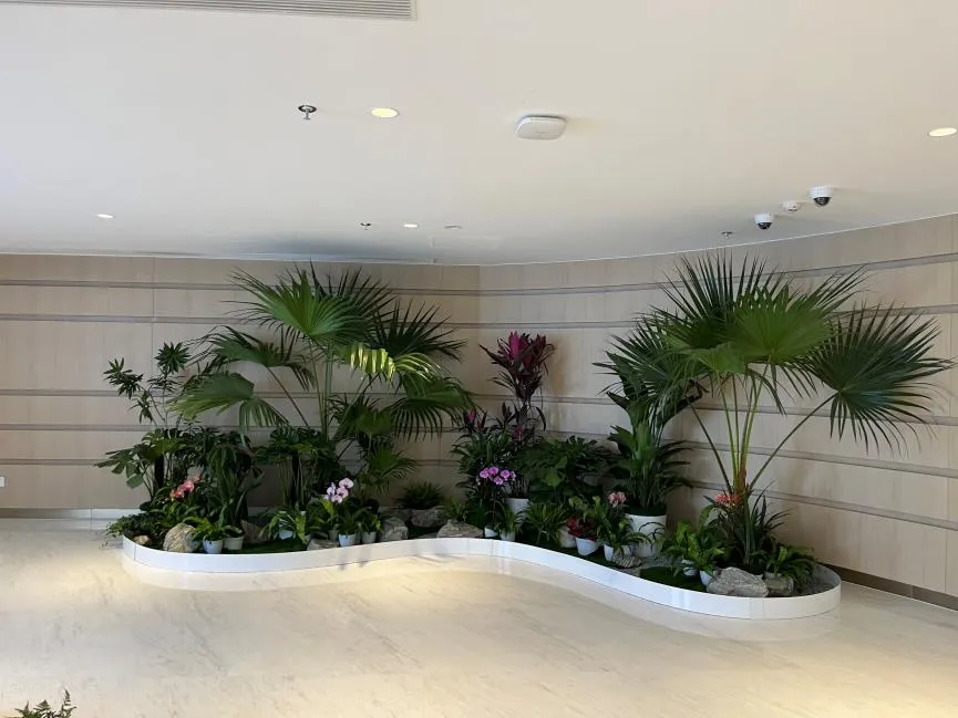 宁波江北花卉租赁，为你打造别样的花卉景观盛宴